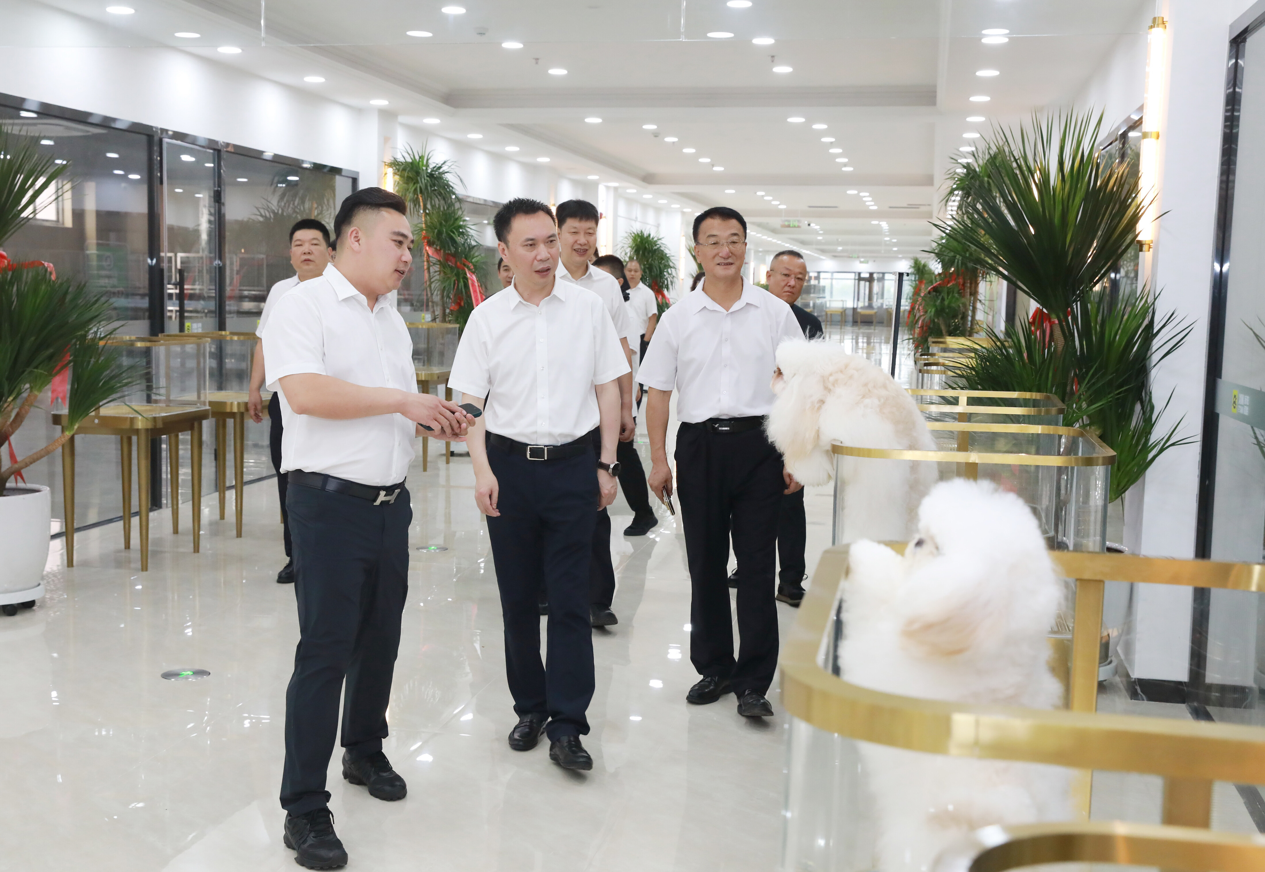 吴开华到新鞍闯联商业管理服务有限公司调研。