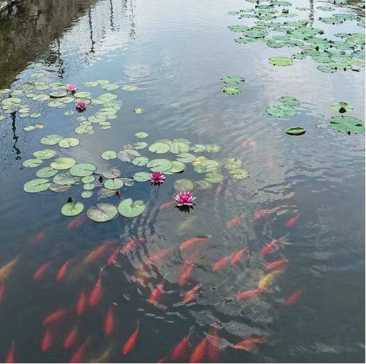 顾家房村。