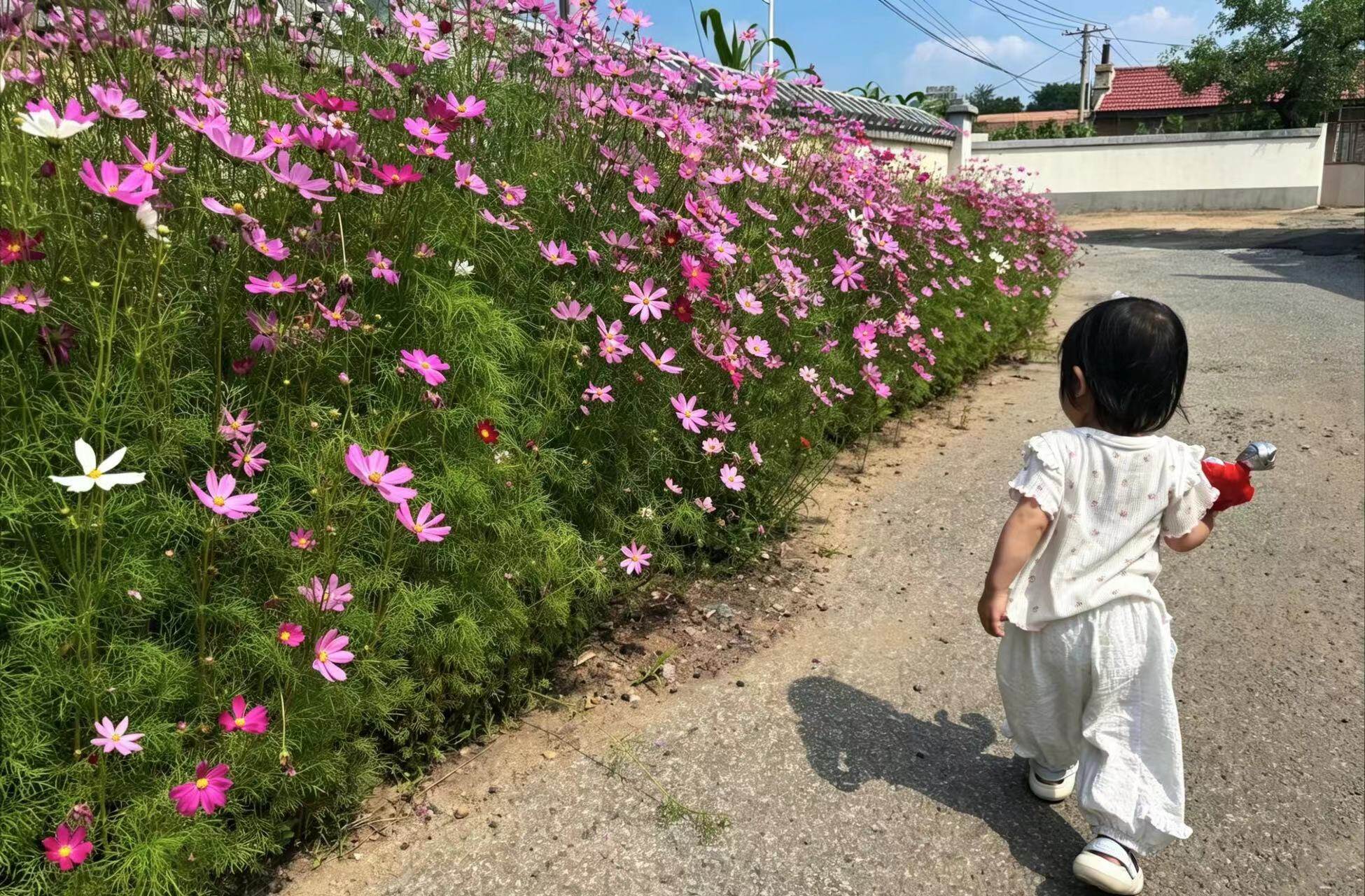 顾家房村。