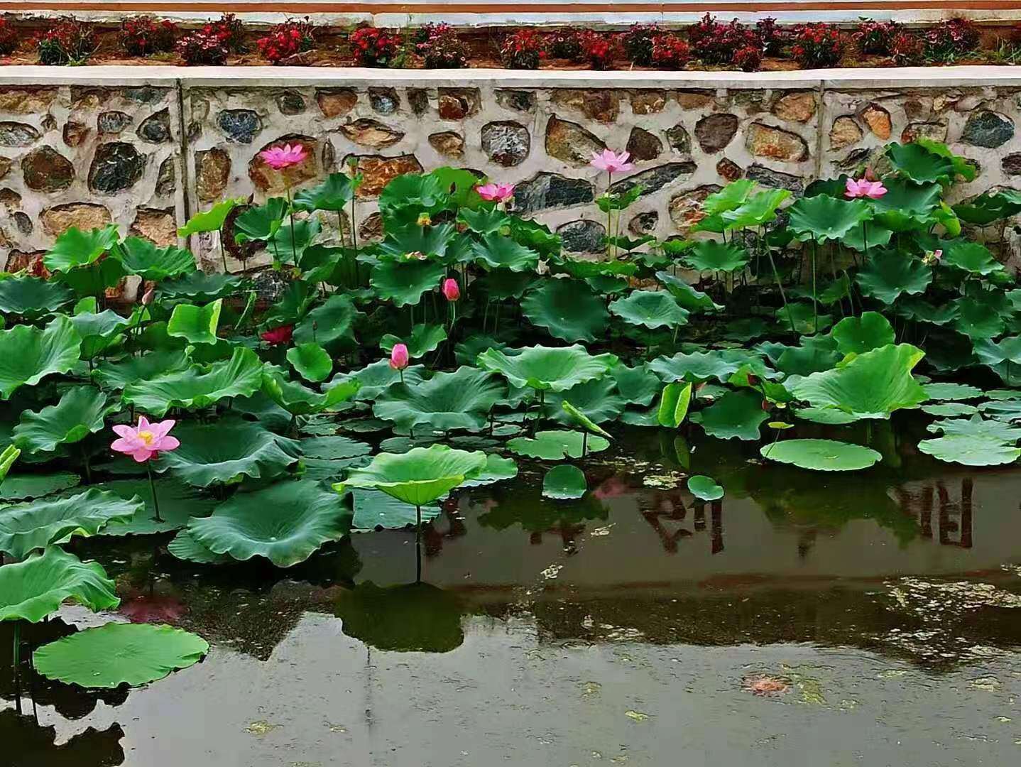 顾家房村。