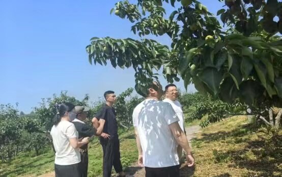 服务现场。