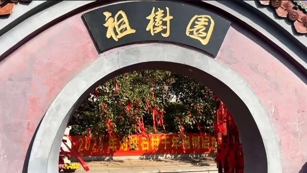 活动现场。