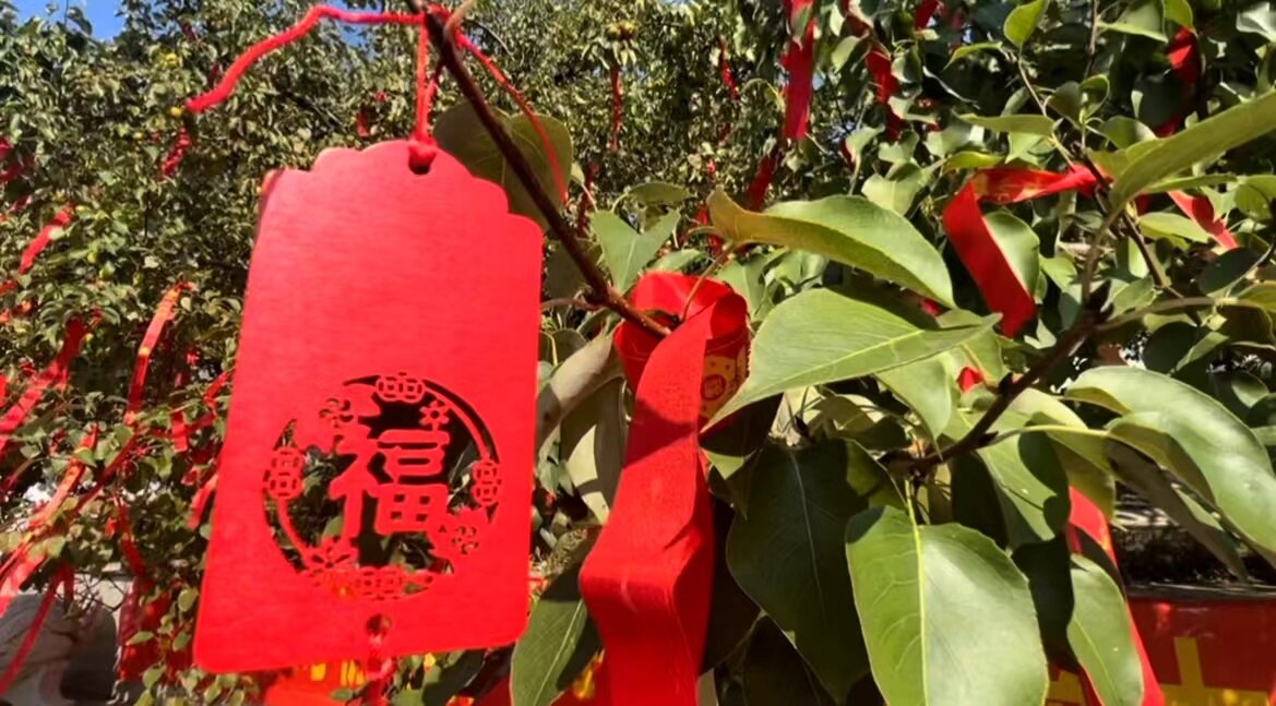 活动现场。