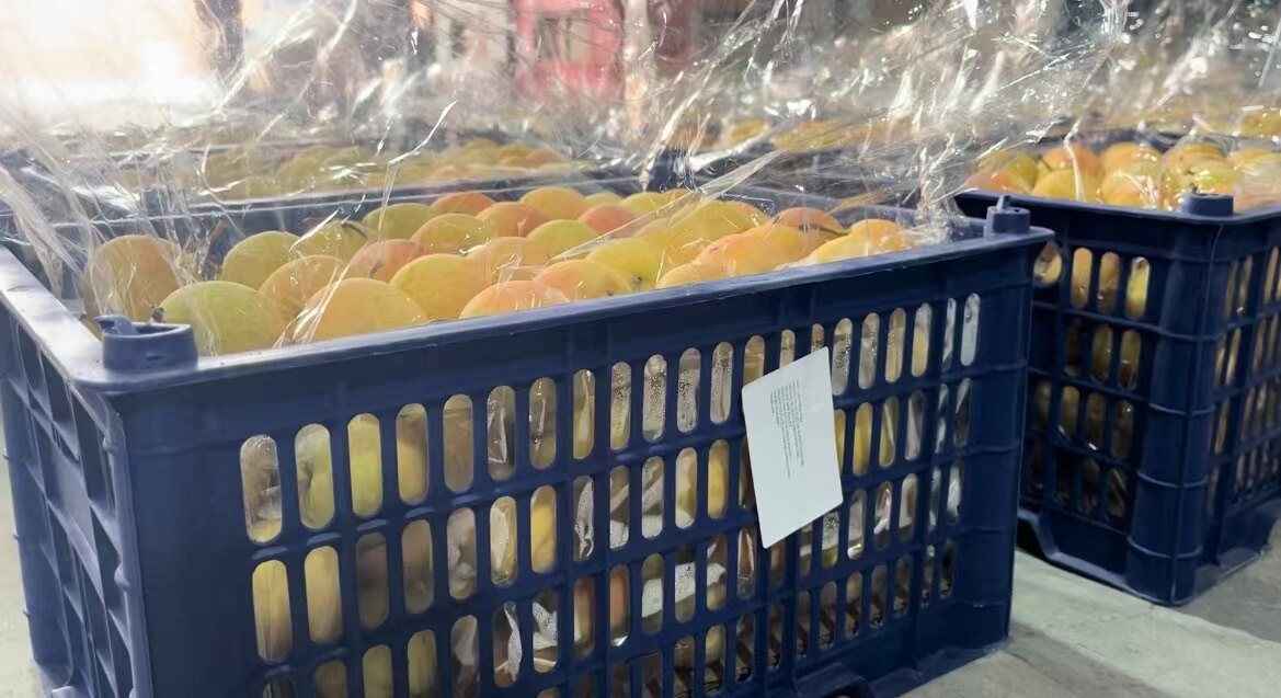 南果梨出口。