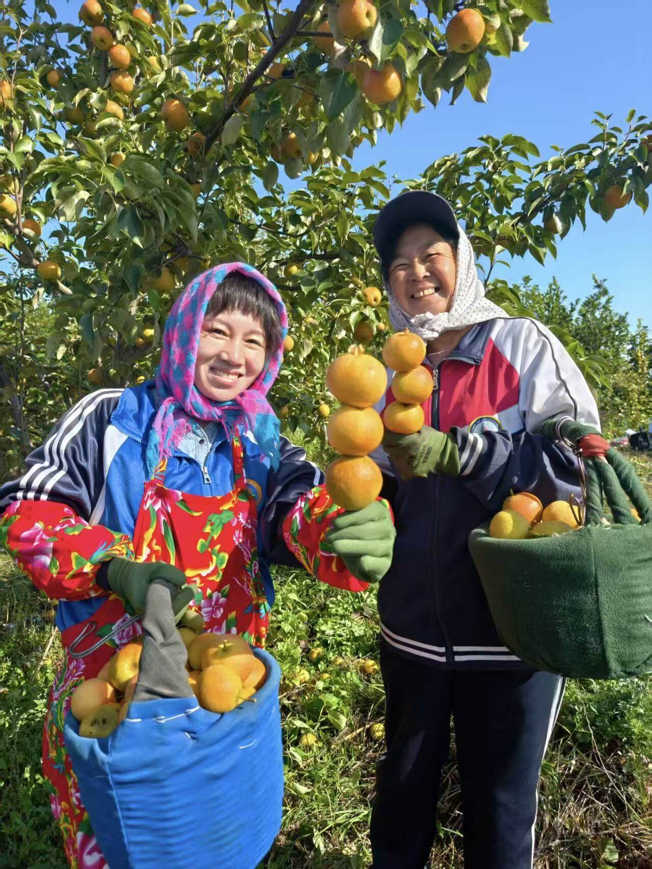 刘欣悦(左)与南果梨农户展示丰收的南果梨。 刘欣悦(左)与南果梨农户展示丰收的南果梨。