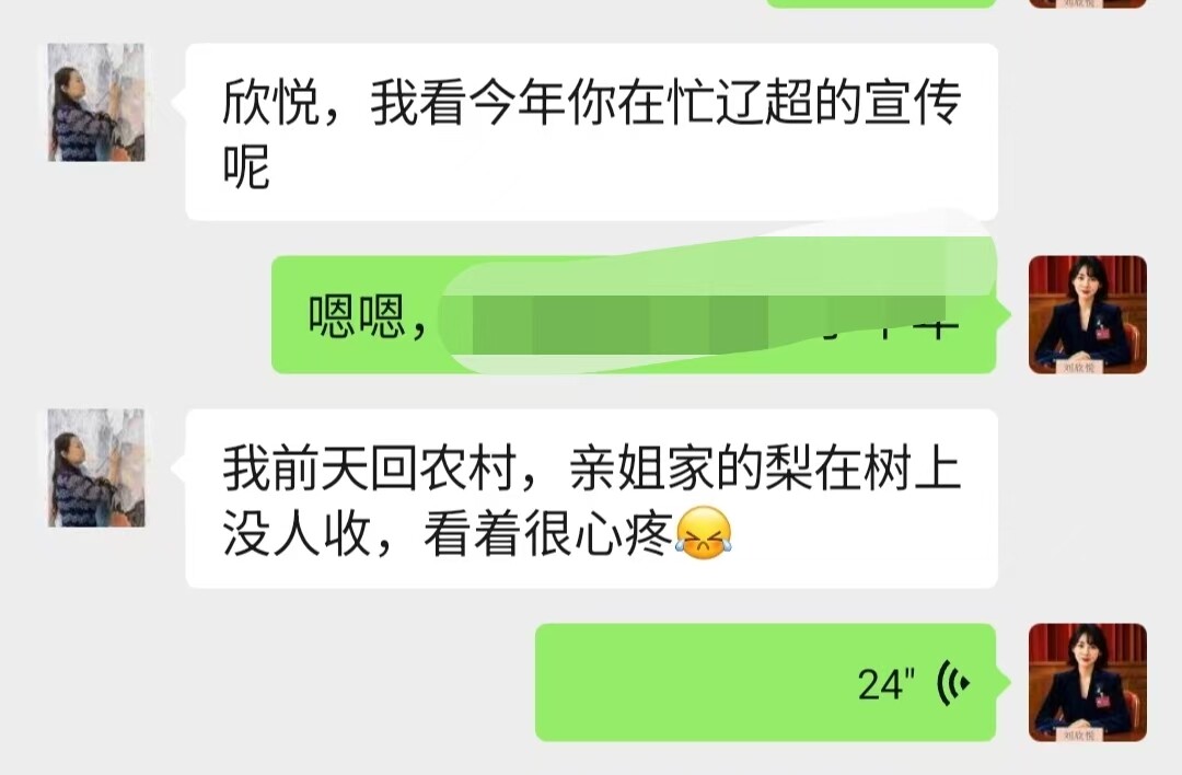 海城南果梨农户给刘欣悦发来的求助信息。 海城南果梨农户给刘欣悦发来的求助信息。