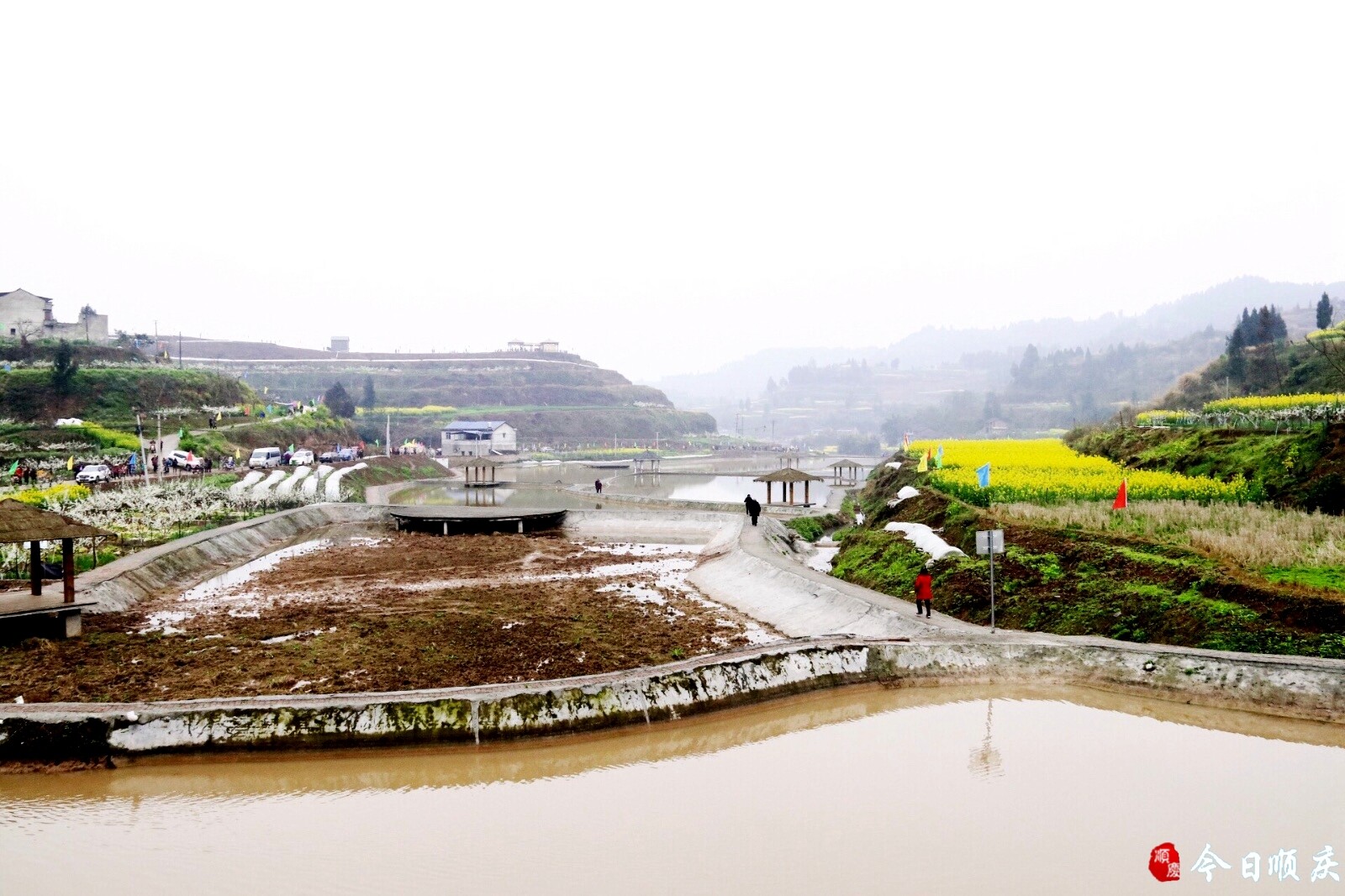 2019李家镇李花节开幕,上万城乡居民赏李花,看演出,吃锅盔