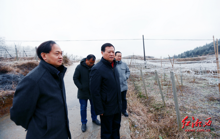 【点击查看原图】